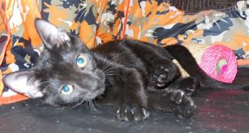 m Bild von Maggie