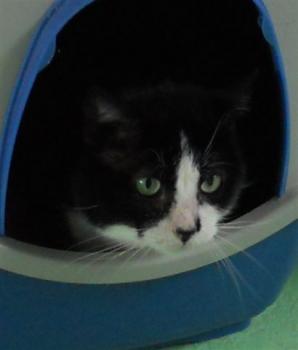 r Bild von Rocky