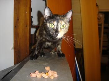 q Bild von Quina