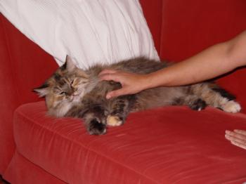 Cloe Bild von Cloe