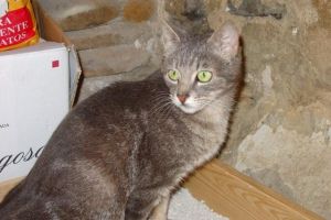 Deborah Bild von Deborah