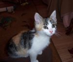 Casilda Bild von Casilda