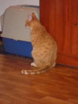 j Bild von Jack
