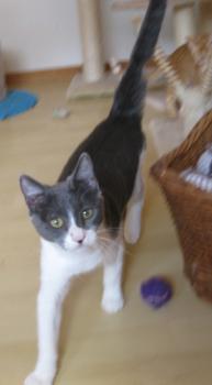Bild von Lili