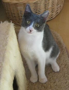 Bild von Lili