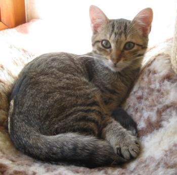 b Bild von Betty