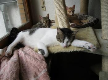 m Bild von Momo