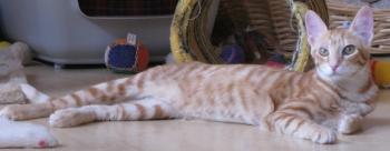Lury Bild von Lury