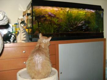 f Bild von Friki