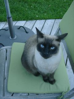 m Bild von Mini
