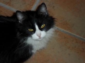 z Bild von Zarah