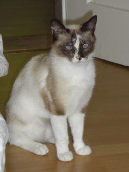 Sarah Bild von Sarah
