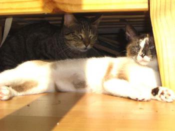 Sarah und Chatri Bild von Sarah