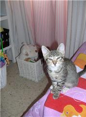 Lia Bild von Lia