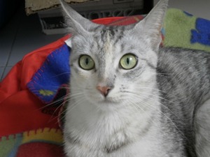 k Bild von Karmela