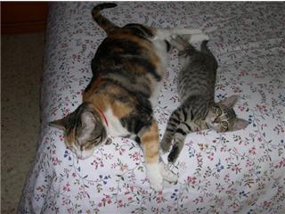 Lia Bild von Lia