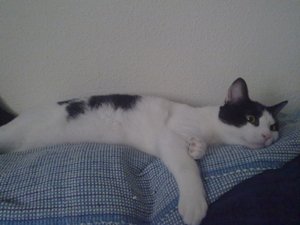 j Bild von Jeremias