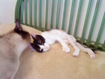 s Bild von Sandy