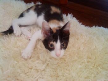 s Bild von Sandy