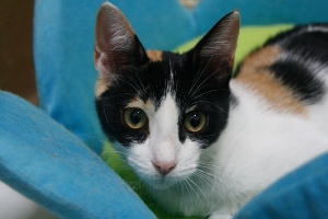 s Bild von Sandy
