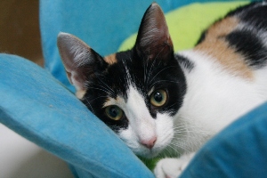 s Bild von Sandy