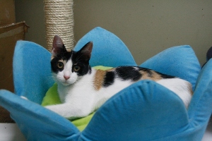 s Bild von Sandy