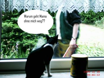 Pitus Bild von Pitus