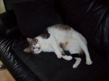 Anastasia Bild von Anastasia
