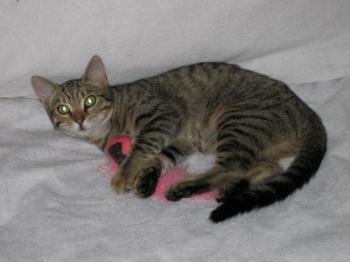 b Bild von Betsy