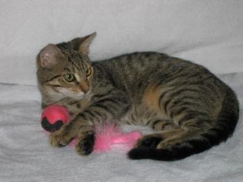 b Bild von Betsy