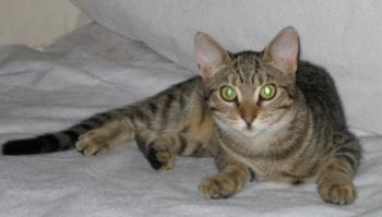 b Bild von Betsy