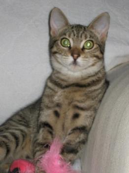 b Bild von Betsy