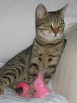 b Bild von Betsy