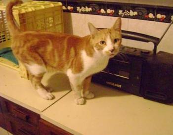 r Bild von Rubi
