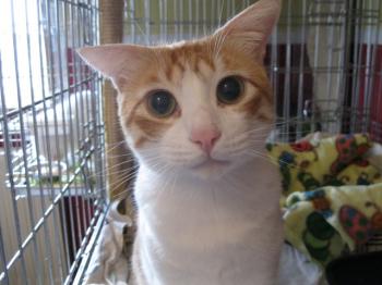 m Bild von Milow