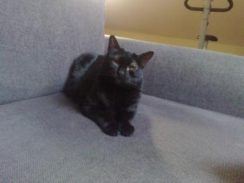 m Bild von Mony Penny