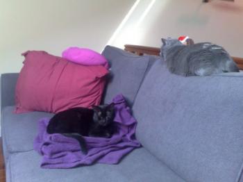 m Bild von Mony Penny