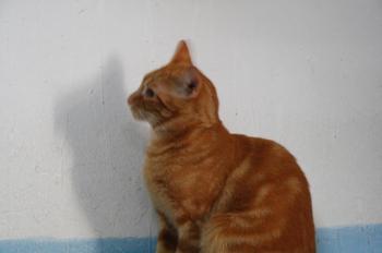 Bild von Martinez - One