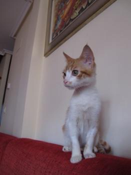 q Bild von Quini
