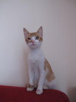 q Bild von Quini