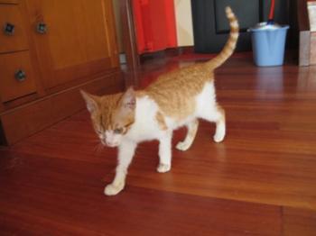 q Bild von Quini