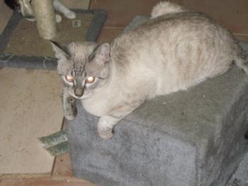 Bild von Tino