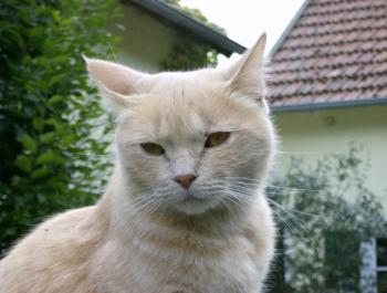 w Bild von Wagner