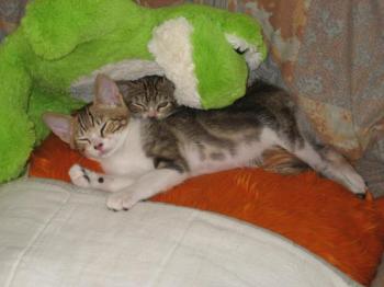 Bild von Gretel