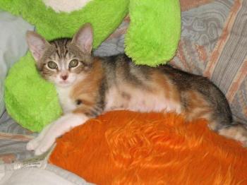 Bild von Gretel