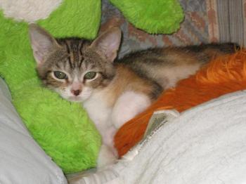 Bild von Gretel