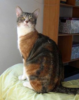 Bild von Gretel