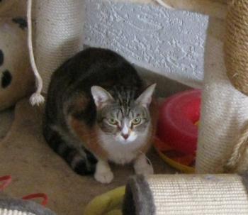 Bild von Gretel