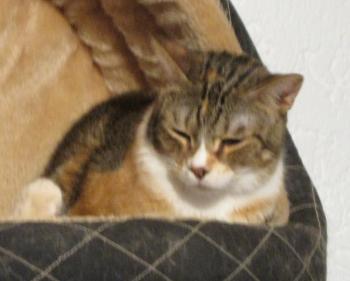 Bild von Gretel