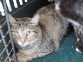l Bild von Layla